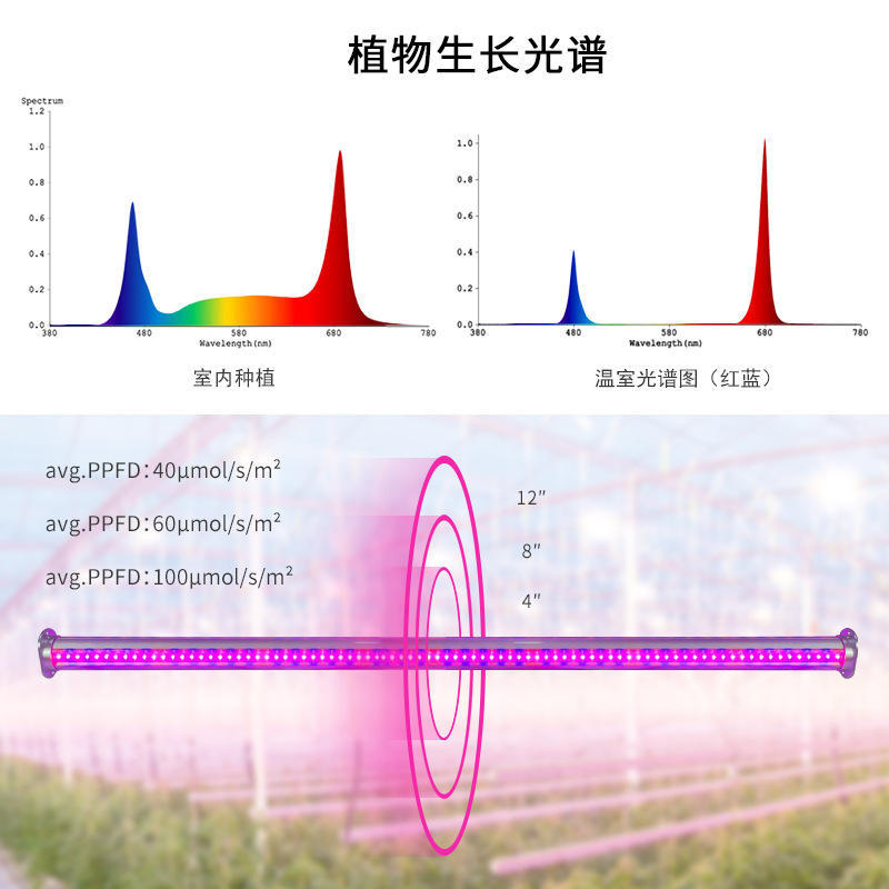 大棚室内双面发光植物灯株间灯led生长灯100W补光红蓝灯防水照灯