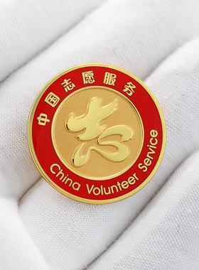 中国志愿者服务徽章公益爱心大使