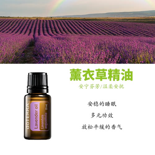多特瑞薰衣草精油官网正品