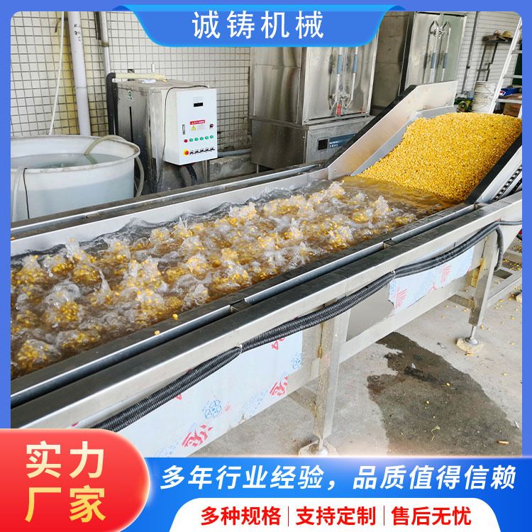 商用净菜设备流水线苜蓿菜漂烫杀青设备桑芽菜漂烫机蔬菜杀青焯水