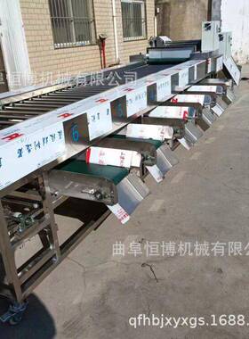 砂糖橘筛选机 大型多功能土豆 洋葱 苹果分级机 商用大虾筛选机