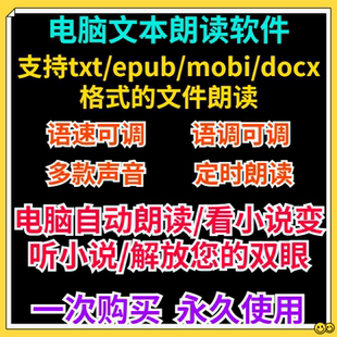 电脑文本朗读工具软件听txt mobi epub docx小说朗读阅读多种音色