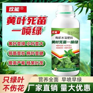 灵玬一喷绿氨基酸叶面肥果树专用蔬菜通用中微量元 素农用喷雾喷施