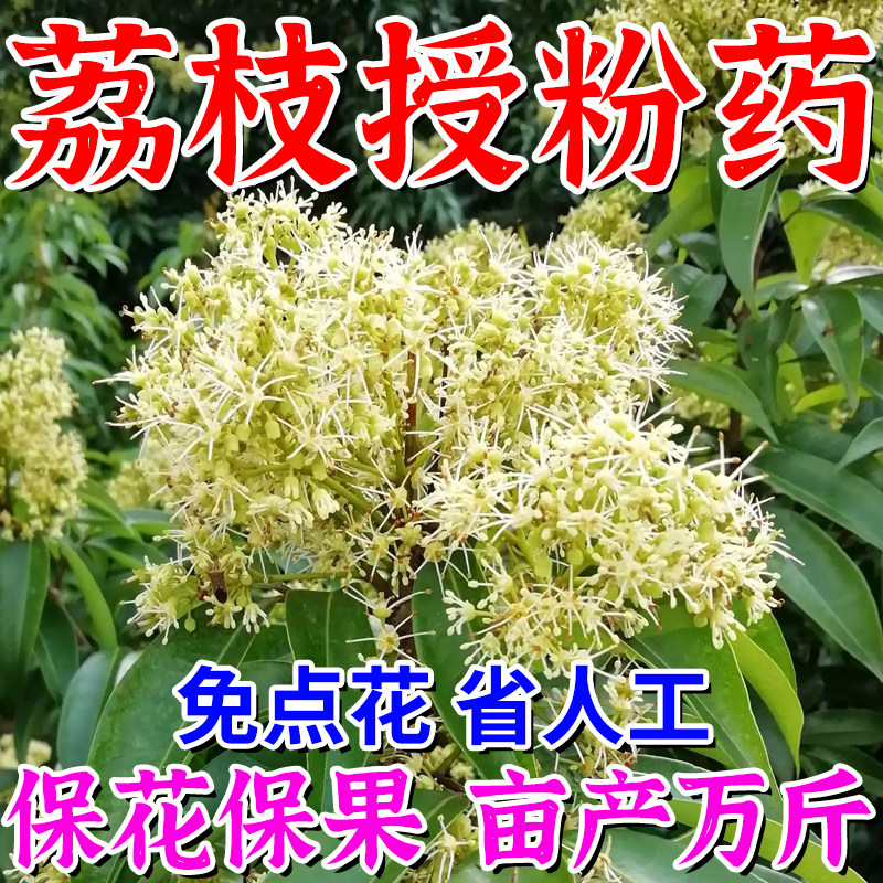 荔枝坐果灵荔枝授粉保花保果防落果裂果龙眼果树催花坐果精专用药