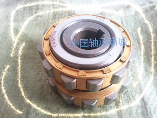 摆线针轮减速机配件圆柱滚子整体偏心轴承RN309M偏心套RN307