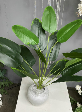 18叉仿真旅人蕉盆景 人造旅人蕉盆栽 客厅家居装饰落地摆件假