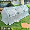 classic Flowers sunshade courtyard Insulation Film small-scale greenhouse Plastic shed household greenhouse multi-storey Flower pot
