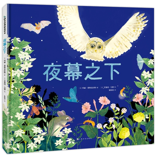 夜幕之下 硬壳 生命三部曲 三 5一6岁幼儿园大班小班中班硬皮幼儿早教书籍读物图书书本硬面 儿童科普启蒙绘本亲子阅读3 精装