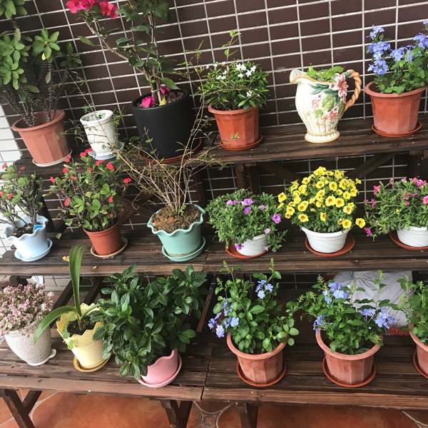 定制防腐木阶梯花架户外阳台客厅多层落地实木花架多肉置物花盆架