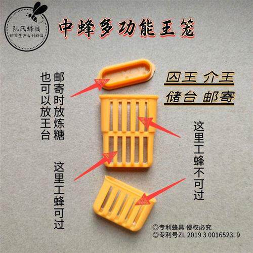 佐琅中蜂王笼多功能塑料囚王器储台器防王逃器养蜂设备50个装阮氏
