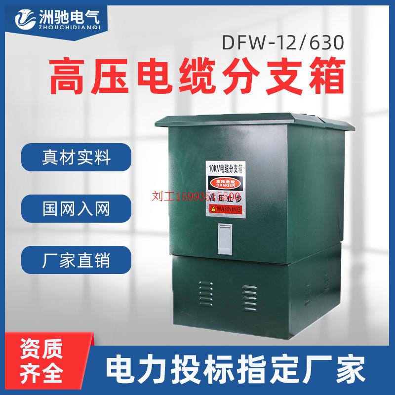 10KV高压电缆分支箱铁壳一进一出DFW欧式不锈钢配电箱分接箱35KV