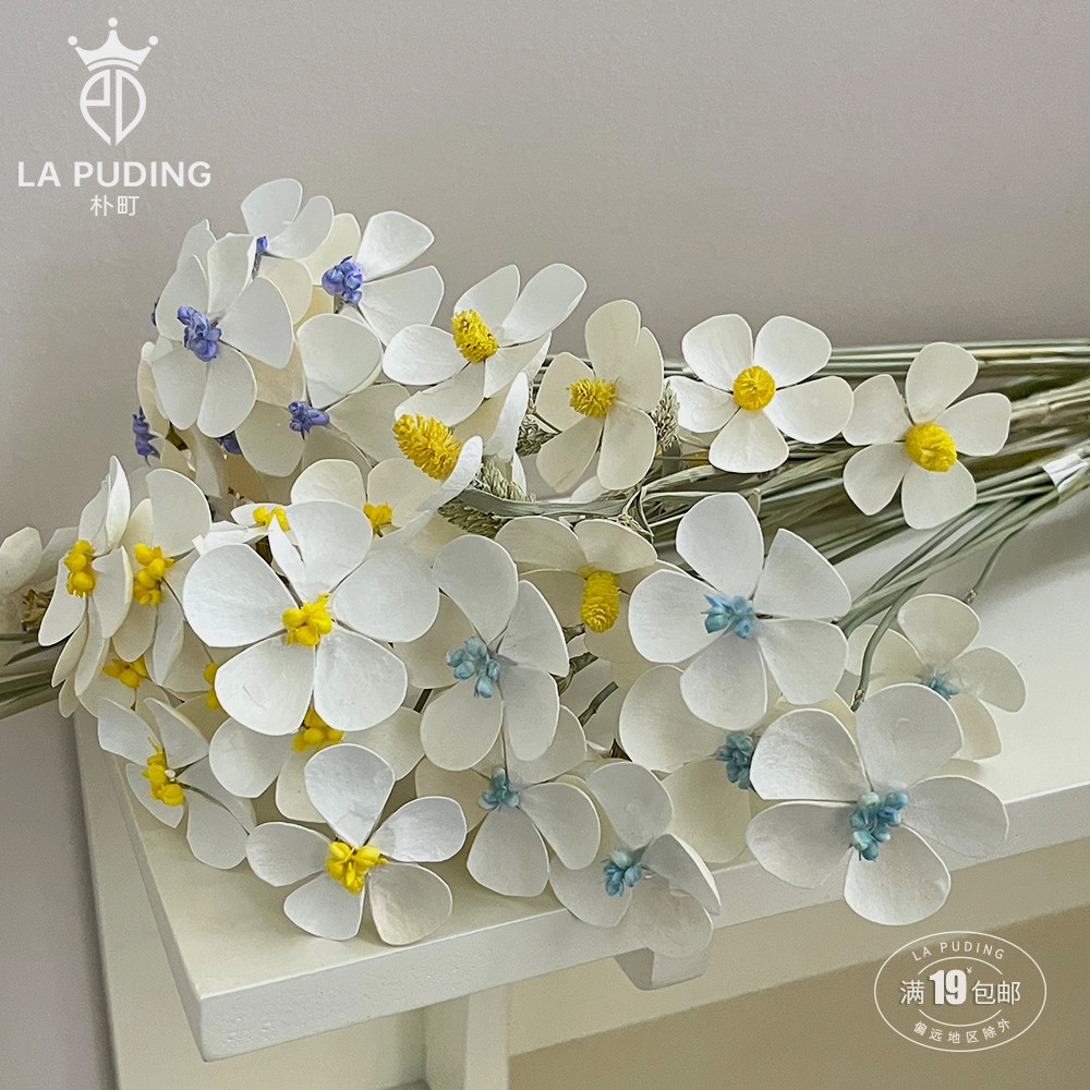 朴町蓝星花干花花艺资材