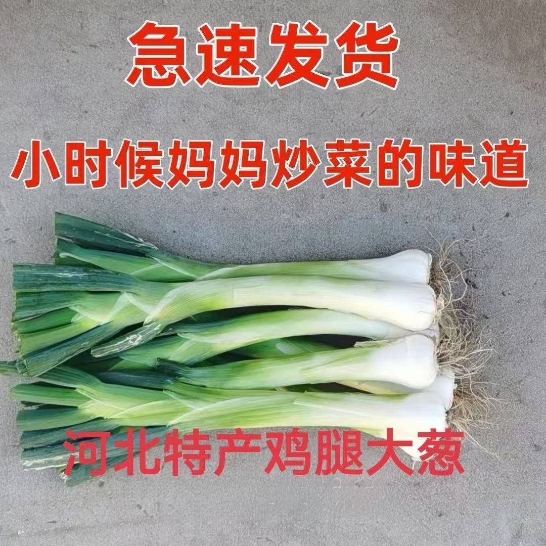 鸡腿葱新鲜大葱河北特产农家自种大头葱甜葱生吃蘸酱葱花饼好吃,水产肉类/新鲜蔬果/熟食,葱类,淘宝优惠券,粉丝福利购,淘宝优惠卷