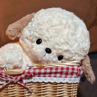 2026捉趣Bern伯尔尼狗狗毛绒玩具狗狗公仔小狗狗安抚玩偶娃娃生日