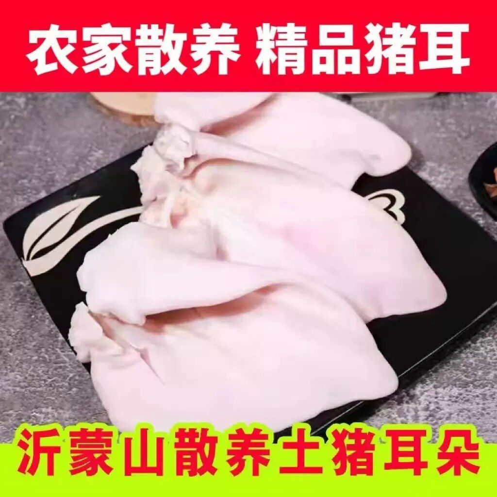新鲜土猪耳朵新鲜猪耳农家生猪耳白净猪耳商用散养土猪耳批发猪耳
