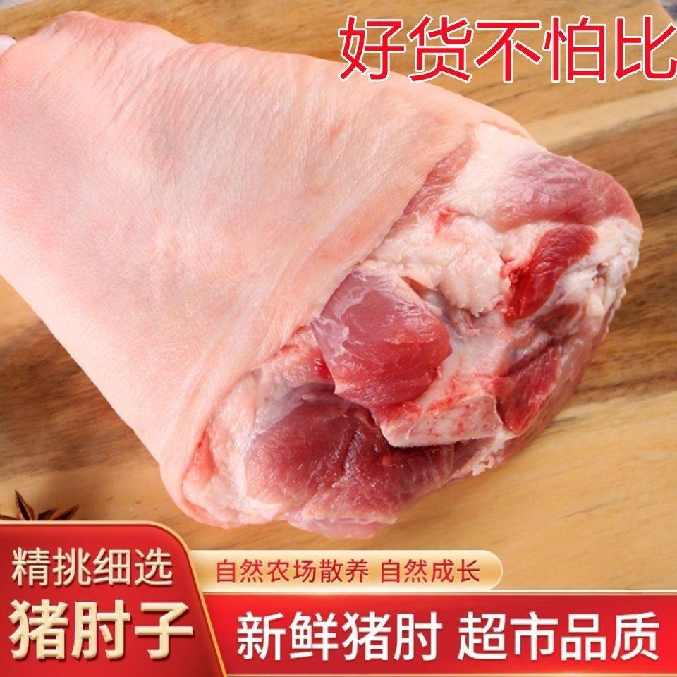 新鲜冷冻农家猪肘子 猪蹄膀猪前肘 生猪肘子饭店家庭食堂批发包邮
