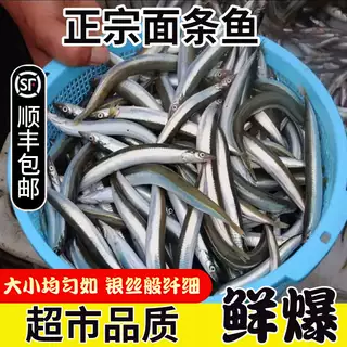 今年现货 面条鱼鲜活新鲜冷冻 海鱼海鲜沙丁鱼小青鱼小银鱼玉筋鱼