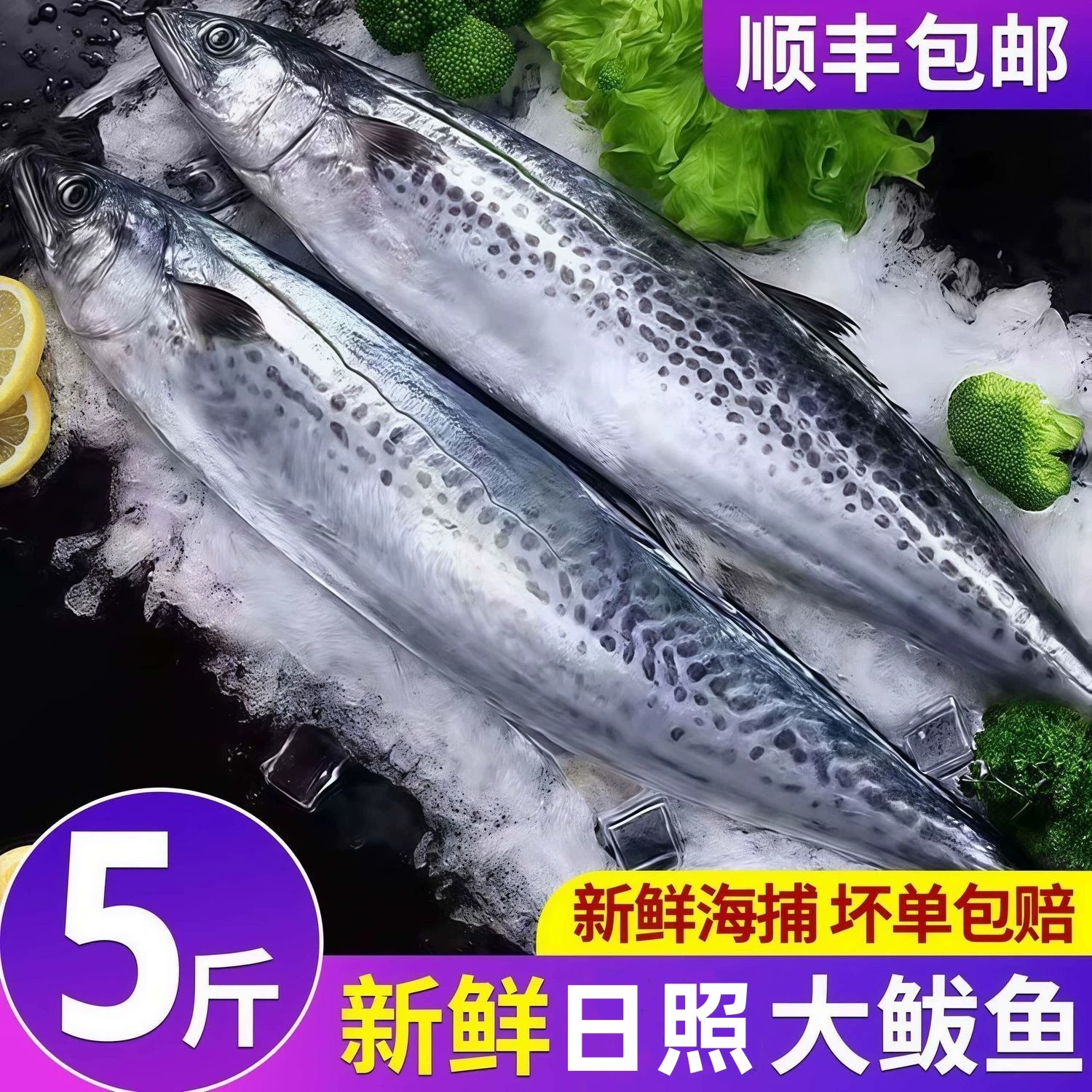 【顺丰包邮】燕尾鲅鱼新鲜特大马鲛鱼燕鲅鱼鲜活海鲜深海海鱼批发