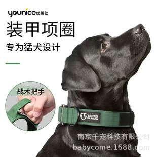 优莱仕狗狗牵引绳防爆冲跑步遛狗不勒手汽车狗链中大型犬狗绳子