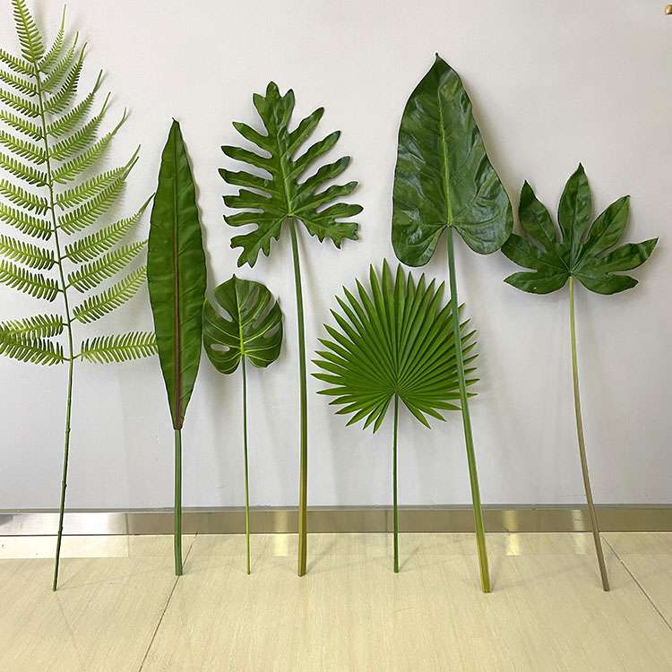 龟背叶春雨叶鸟巢叶北欧风格插花装饰绿色植物墙森系花艺马小