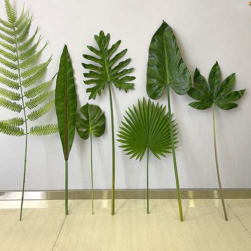 龟背叶春雨叶鸟巢叶北欧风格插花装饰绿色植物墙森系花艺马小
