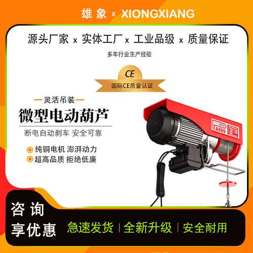 雄象微型电动葫芦小型吊机220V110V家用楼顶钢丝绳起重机电动葫芦