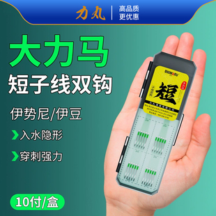 力丸大力马子线双钩正品绑好成品子线伊势尼伊豆pe防缠绕超短子线