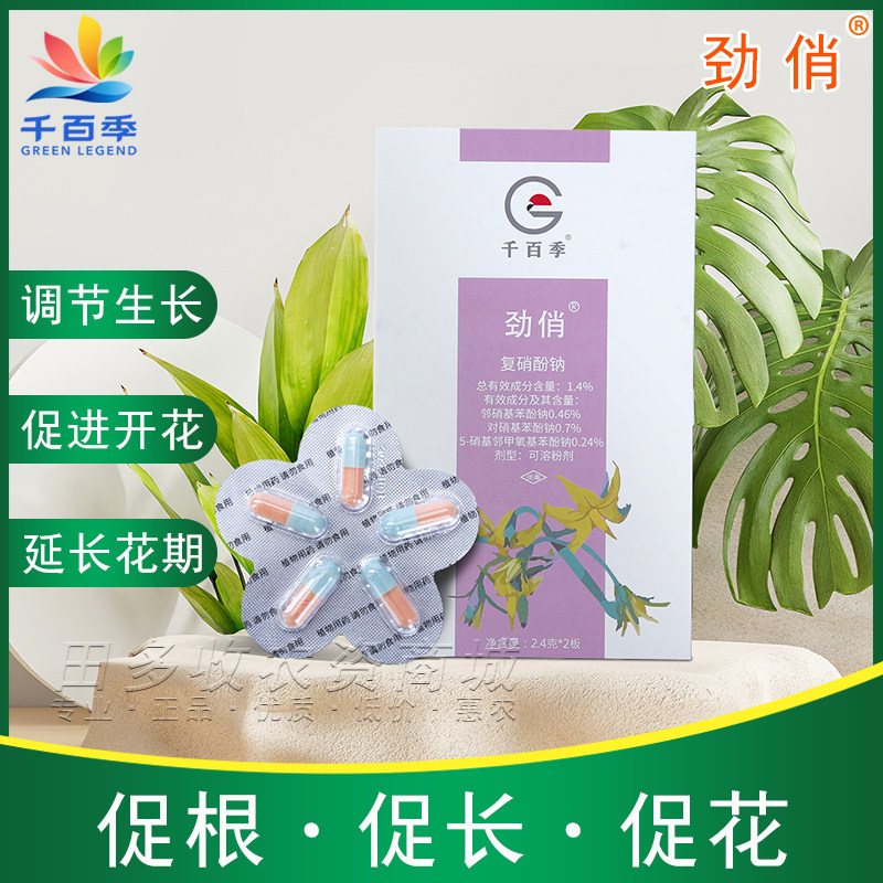 千百季劲俏复硝酚钠花卉绿植促根助长促进开花生长调节剂胶囊花药