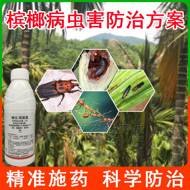 槟榔椰心叶甲杀虫剂22%噻虫嗪高效氯氟氰菊酯复配内吸触杀农药1kg