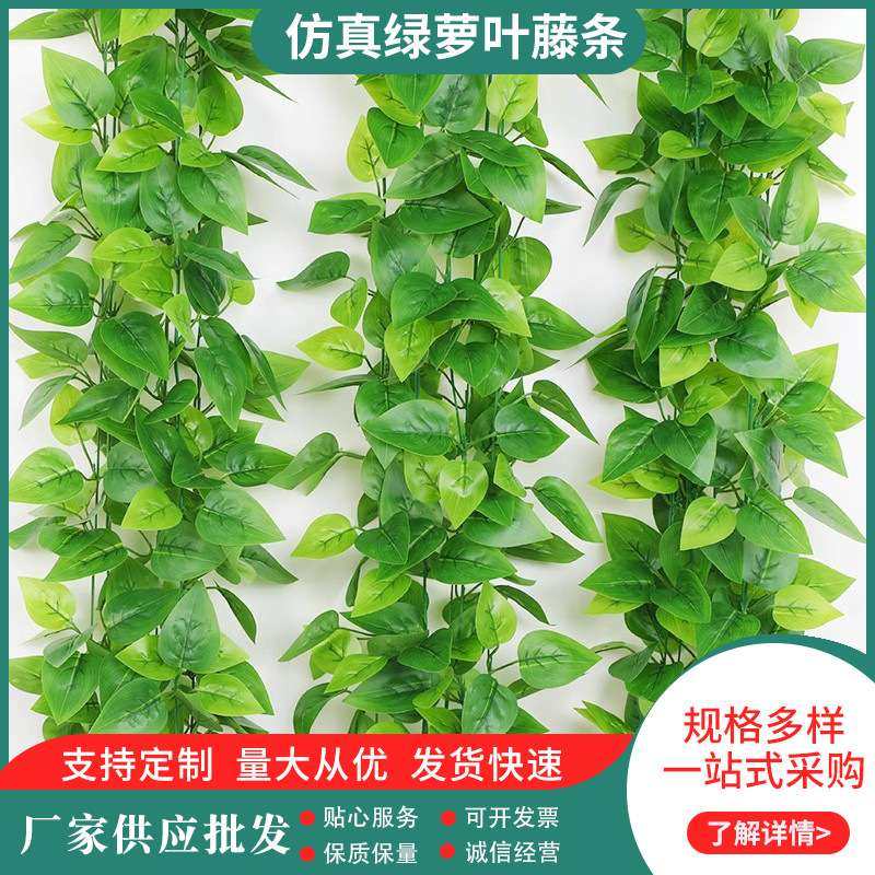 仿真藤条绿萝叶装饰藤条  仿真植物管道吊顶装饰绿植塑料假花藤蔓,鲜花速递/花卉仿真/绿植园艺,仿真绿植,淘宝优惠券,粉丝福利购,淘宝优惠卷