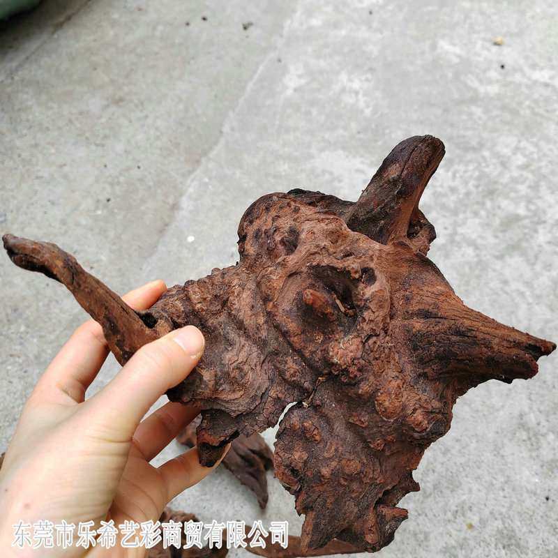 鱼缸造景沉木天然树桩水族箱装饰小号木晒台木头莫斯木水陆缸造景,家居饰品,根雕,淘宝优惠券,粉丝福利购,淘宝优惠卷