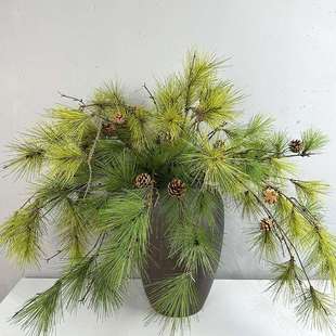 仿真松树枝带果假松枝景观松针假树枝松柏枝迎客松马尾松中式花材