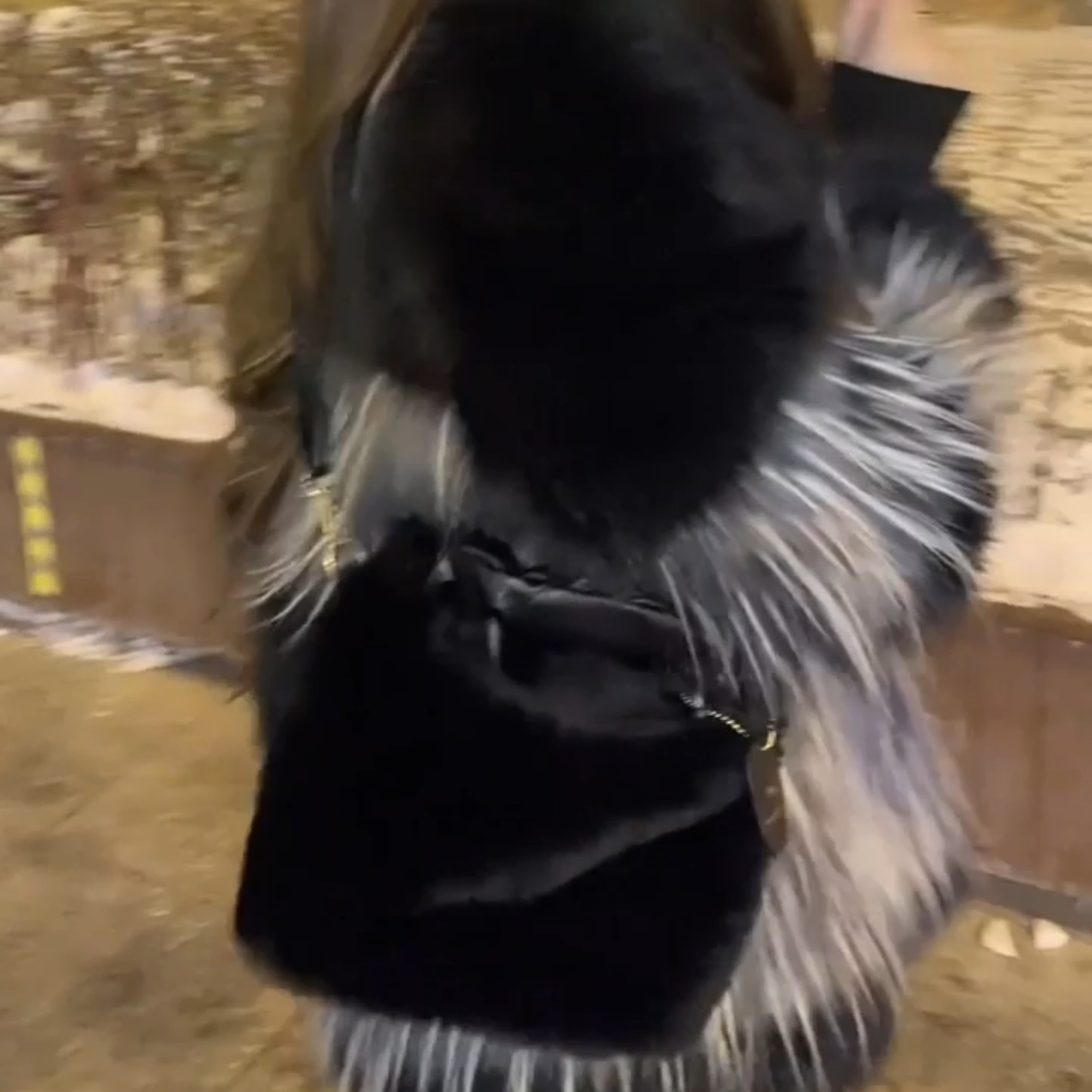 包包女款爆款2025新款毛茸茸小包包女秋冬毛绒斜挎包冬季百搭手提