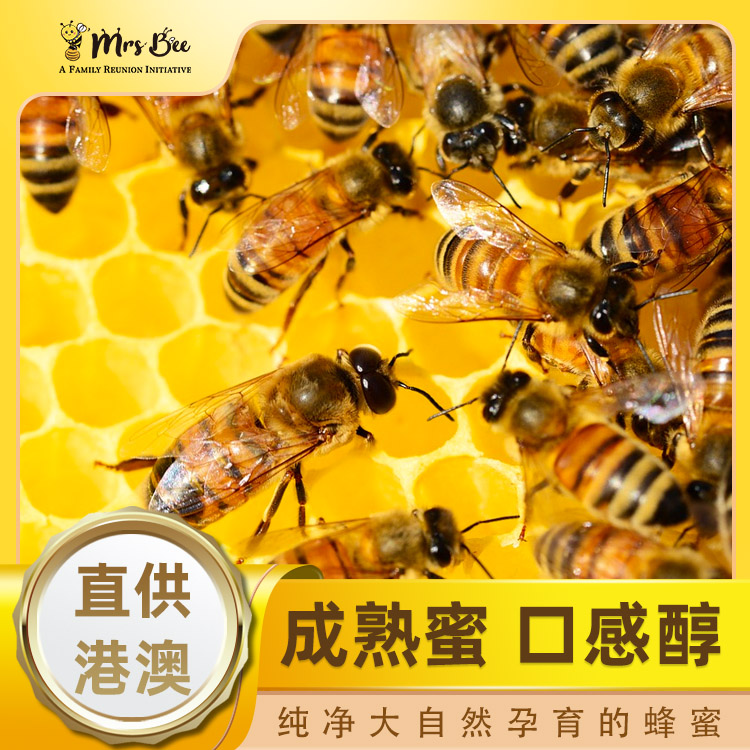 蜂蜜MrsBee供港小包装蜂蜜