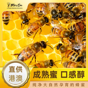 Mrs Bee蜂蜜升平村蜜糖供港蜂蜜条OEM订制便携小包装蜂蜜百花蜜