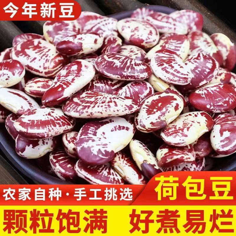 荷包豆新鲜东北农家大肾豆状元豆500g五谷杂粮豆花芸豆干货煮粥