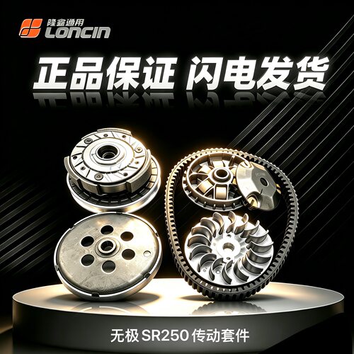 无极SR250GT前后皮带轮总成