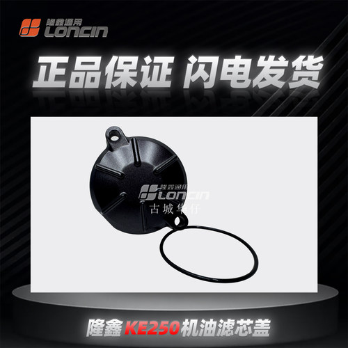 无极250RR恒舰5机油滤芯盖左后盖
