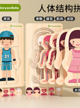 GoryeoBaby 木制多层拼图嵌板启蒙早教玩具 男女孩人体结构拼图