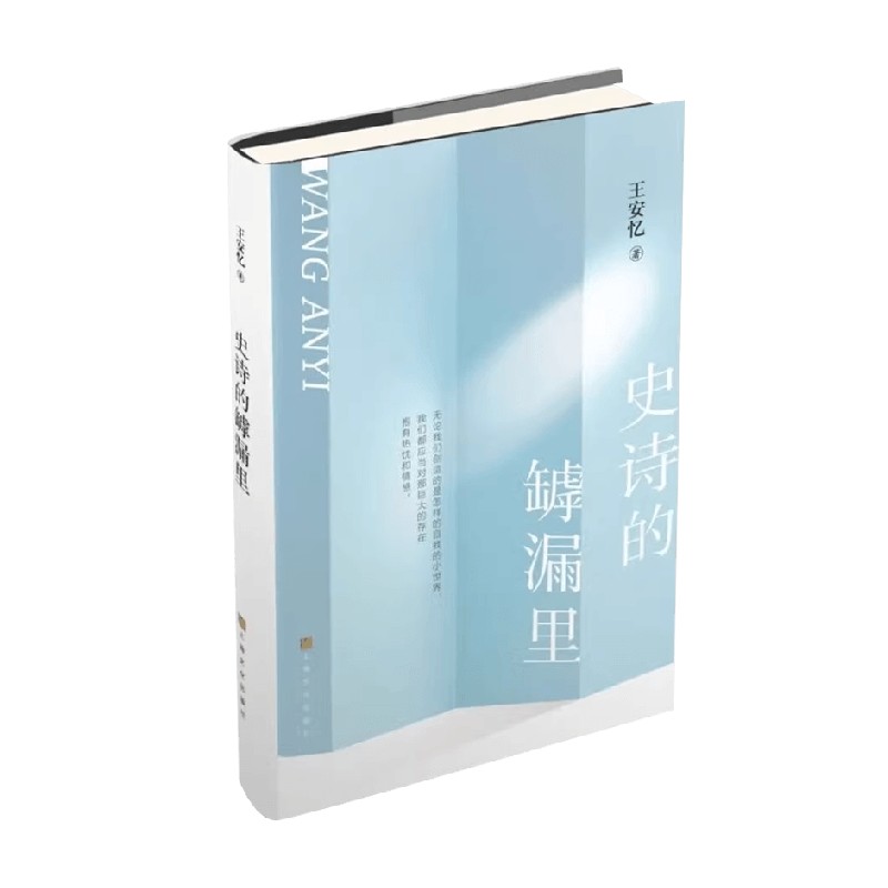 史诗的罅漏里 王安忆 著 文学研究