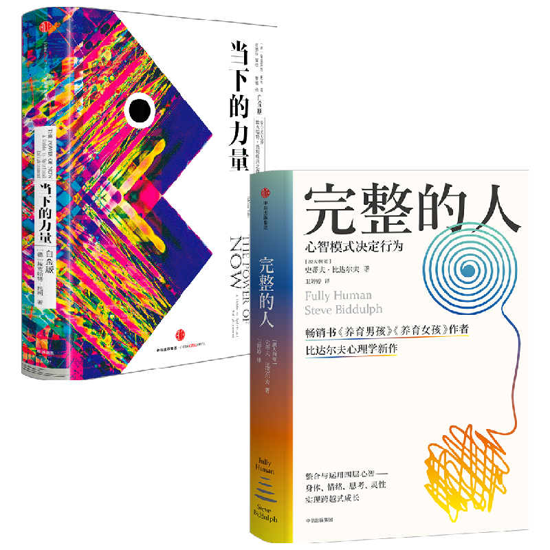 【正版书籍】当下的力量 白金版 +完整的人 套装2册 史蒂夫比达尔夫等著 获得完整的内在精神力量与内心的平静