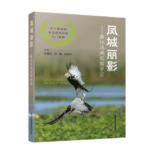 凤城丽影 泰州鸟类观察手册 孙海涛等 著 科学与自然