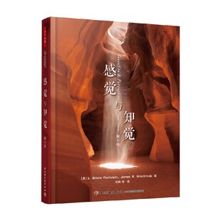 万千心理 感觉与知觉 第十版 戈尔茨坦等 著 心理学