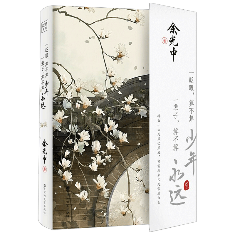【正版书籍】一眨眼 算不算少年 ，一辈子 算不算永远 余光中著 中国散杂文