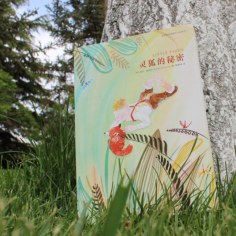 【正版书籍】灵狐的秘密 11-14岁 麦克·莫波格 著 儿童文学