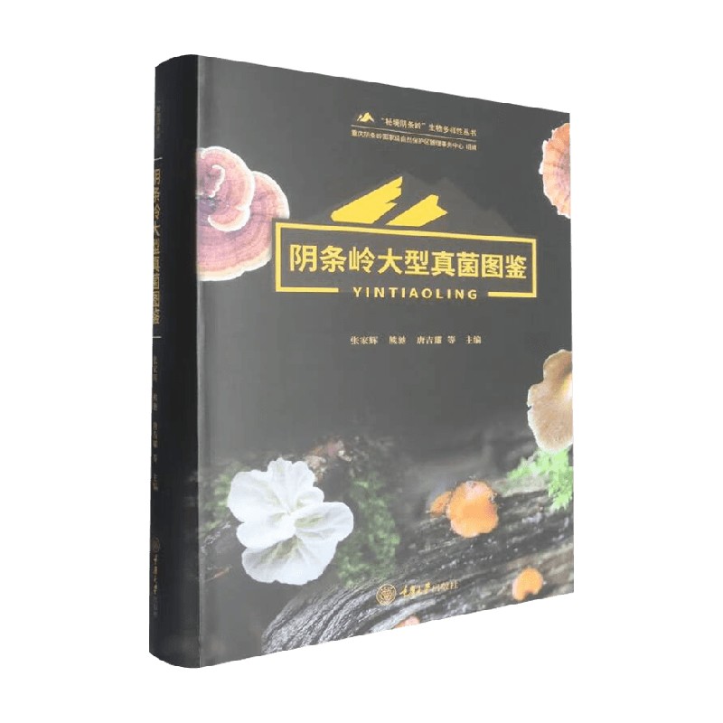 阴条岭大型真菌图鉴张家辉