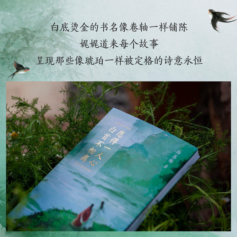 【正版书籍】愿得一心人 白首不相离 白落梅 著 传记