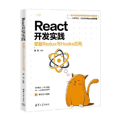 袁龙著计算机与互联网