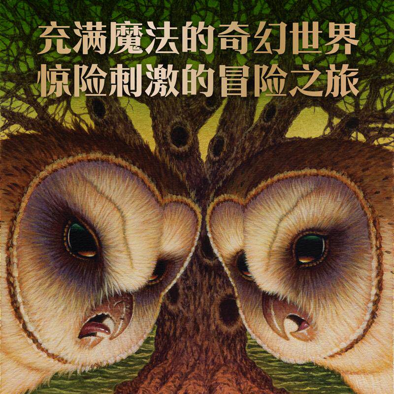 猫头鹰王国(第3辑)(11-15) (美)凯瑟琳·拉丝基 著 张鲁,高玉琪,郭金