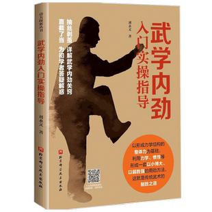 【正版书籍】武学内劲入门实操指导刘永文 著 体育健身